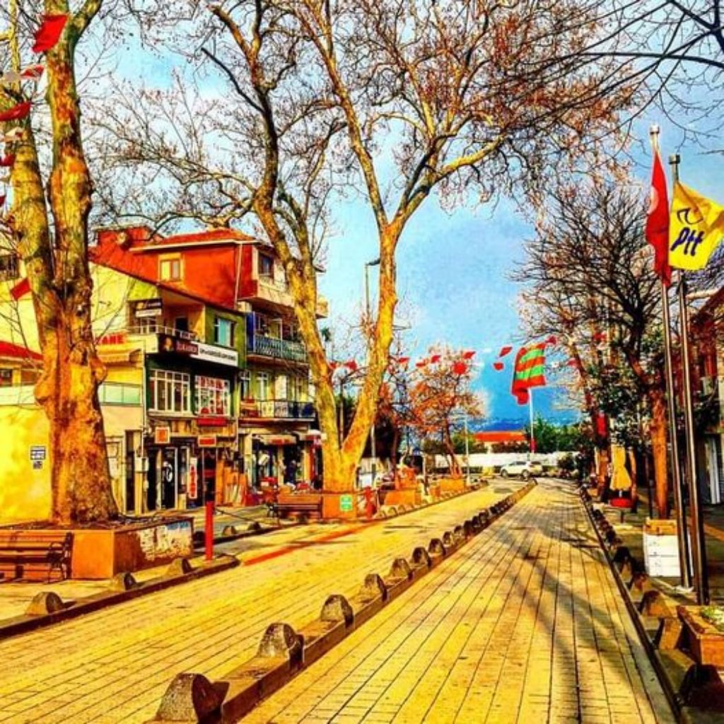 İstanbul - Boğaziçi - Paşabahçe, Sahilde Ev
                      ve Dükkan Satılık