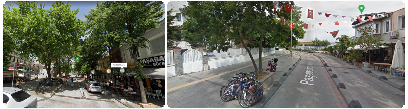 The
                  Last of us